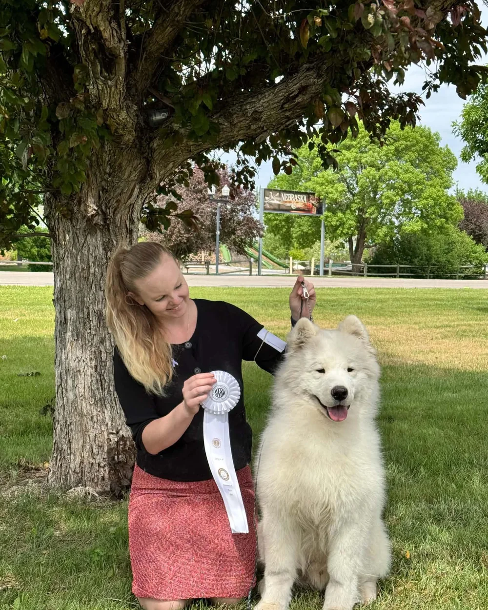 Annamarie kneeling in the grass beside one of her Samoyeds, holding up an AKC rosette.
