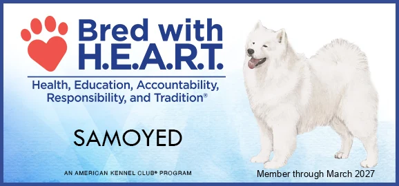 AKC Bred with H.E.A.R.T. — Samoyed, member through March 2027.